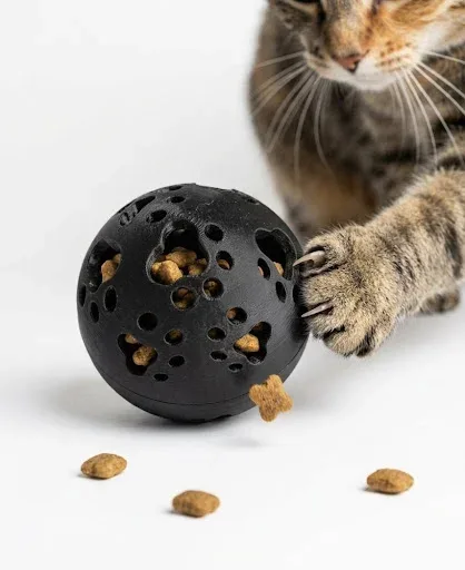 PELOTA DISPENSADORA DE COMIDA PARA MASCOTAS